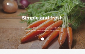 网站制作之蔬菜类网页设计