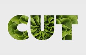网站设计之CUT设计方案