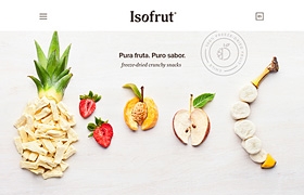网站设计之食品类设计