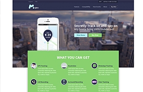 mSpy - flat corporate website